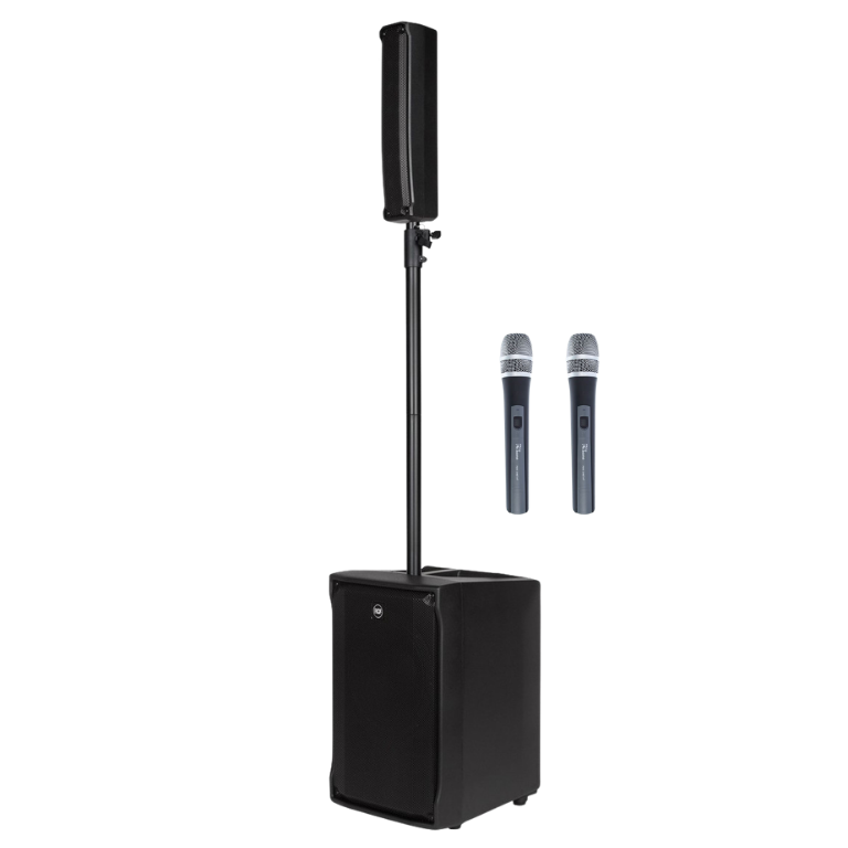 Ljudsystem för middag med två trådlösa mikrofoner