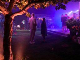 Färgad belysning vid entrén till en fest
